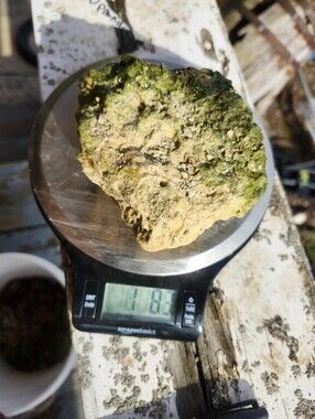 Fiji Dry Base Rock for Saltwater Aquarium Setup Natural Reef Rock Aquascaping